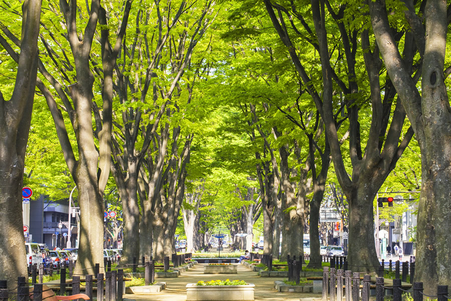 都市環境